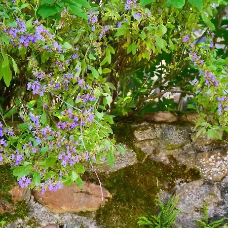 Casa vacanze Maison Les Sauvages 8-10 Personnes